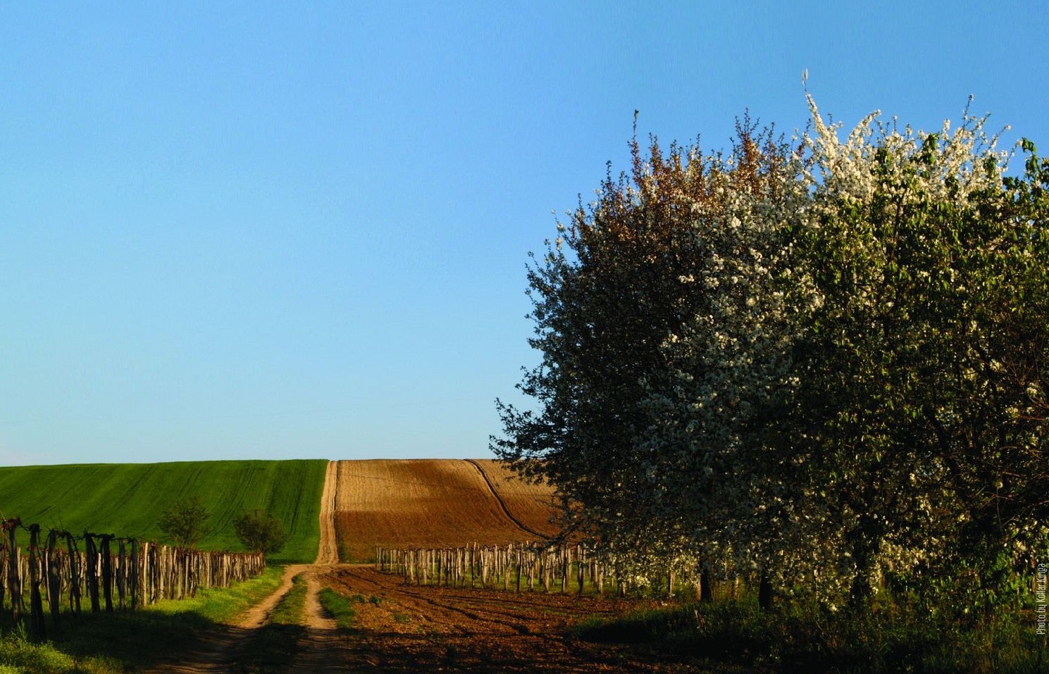 Uloga i mogućnosti ruralnog turizma u regionalnom razvoju